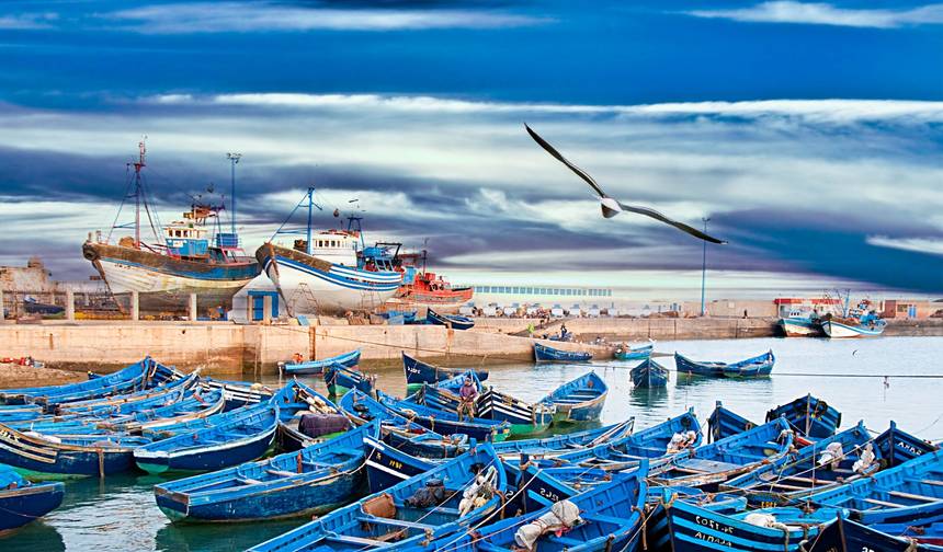 من الدار البيضاء: 11 يومًا خاصًا إلى شفشاون وفاس والصحراء — 1