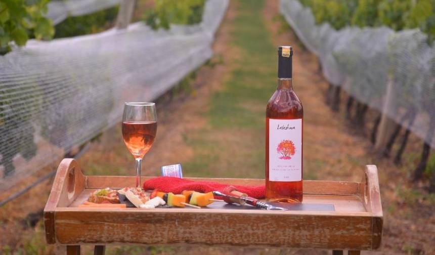 TASTE THE LAND, TRACK THE WILD – Kongoni Safari — 1