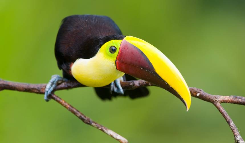 Best of Costa Rica & Panama - 13 days — 1