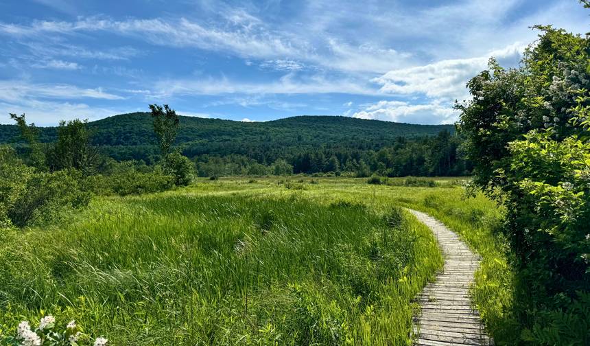 Slackpacking® the Appalachian Trail: Massachusetts (Women-Only) — 1
