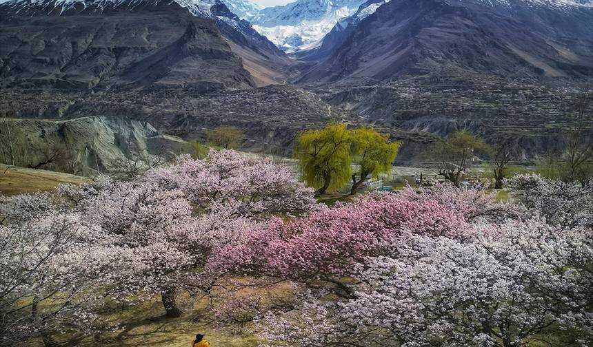 Hunza Cherry Blossom Tour — 1
