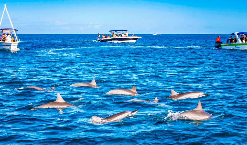 Customized 6 Days Private Mauritius Tour with 5-star Hotels, Daily Start — 1