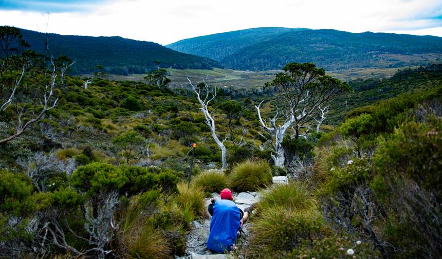 Tasmanian Wonders — 1