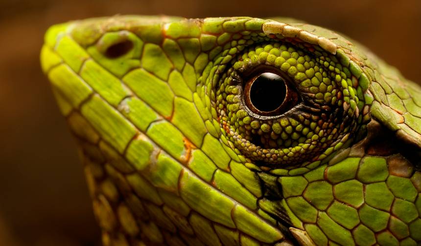 AVENTURA NO EQUADOR E GALÁPAGOS — 1