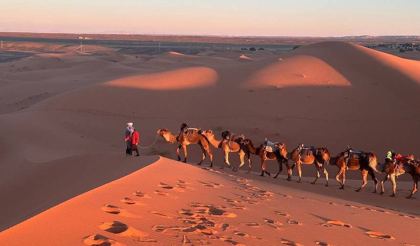 جولة صحراوية جماعية لمدة 3 أيام من فاس إلى مراكش — 1