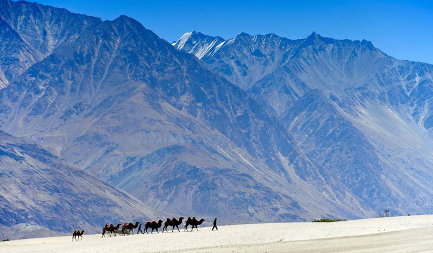 Niesamowite doświadczenie przyrodnicze w Leh Ladakh — 1