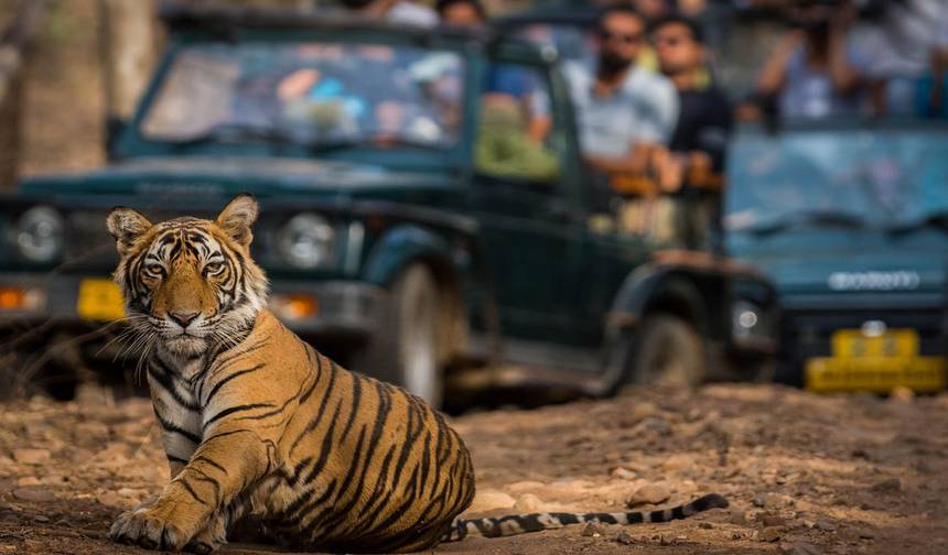 Incredible Northern India & Ranthambore Wildlife Experience — 1