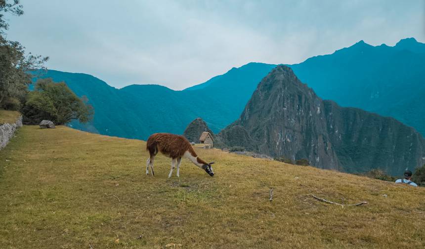 Cuda Andów: Machu Picchu, Sanktuarium Motyli - Tęczowa Góra quadem i Cusco – 7 dni — 1