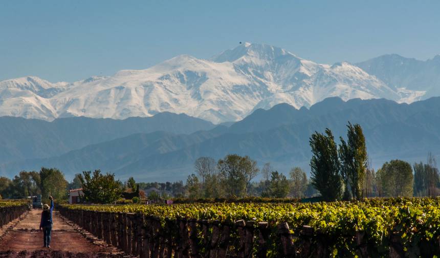 Mendoza: Najlepsze Wina w Andach — 1