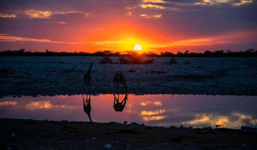 Southern Africa Encompassed: Bush Camps & Wildlife Spotting — 1