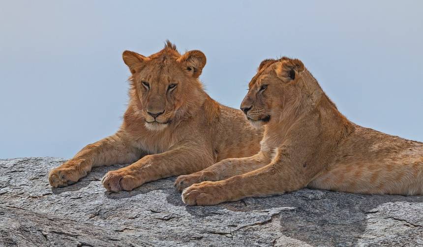 Safari dzikiej przyrody w Tanzanii, plaże Zanzibaru i Wodospady Wiktorii — 1