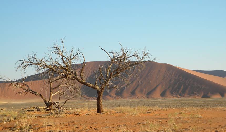 Southern Africa Northbound: Dunes, Deltas & Falls — 1