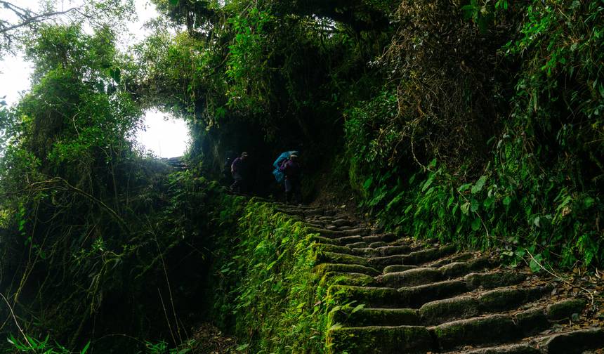 Inca Discovery Plus — 1