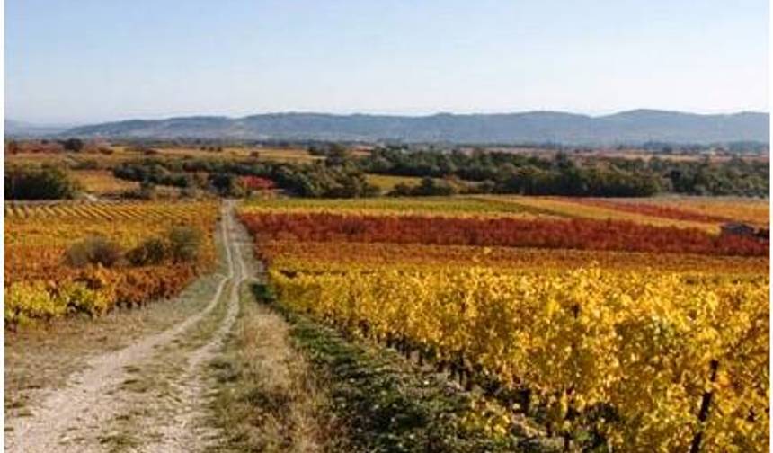 Excursão de Caminhada na Provença: Les Baux de Provence e Gordes — 1