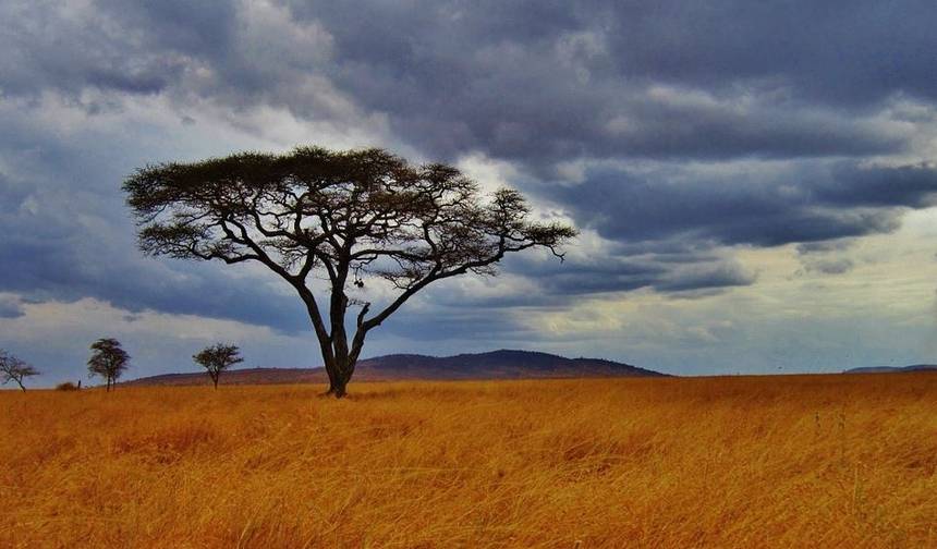 Serengeti e Cratera de Ngorongoro — 1