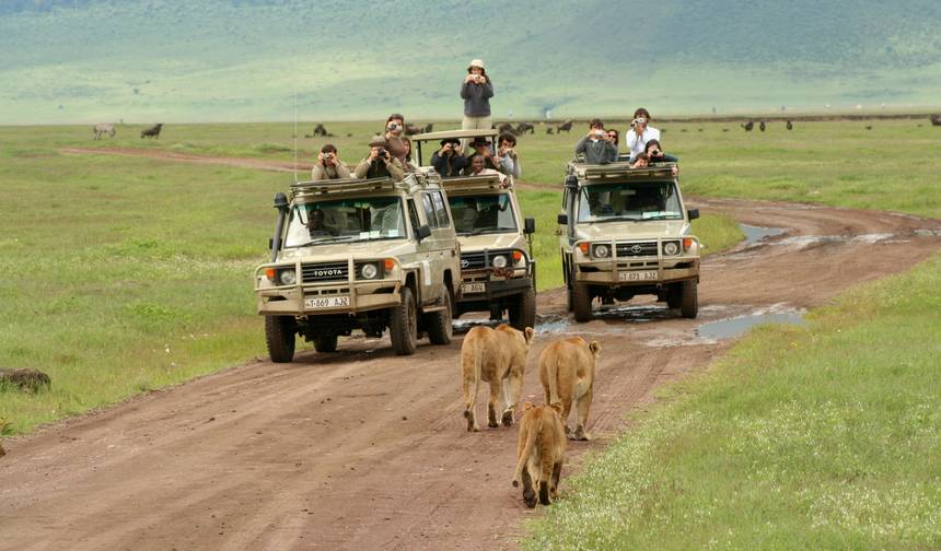 Serengeti e Cratera de Ngorongoro — 1