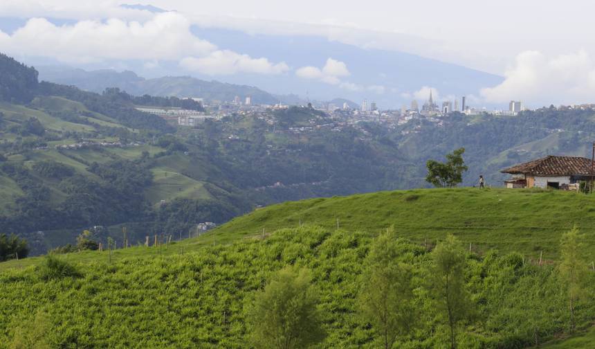 Cafe Colombia — 1