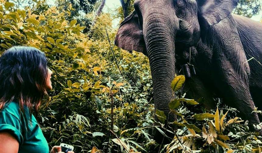 Tribos das Colinas do Norte da Tailândia: Conservação Ambiental, Educação e Trekking com Elefantes — 1