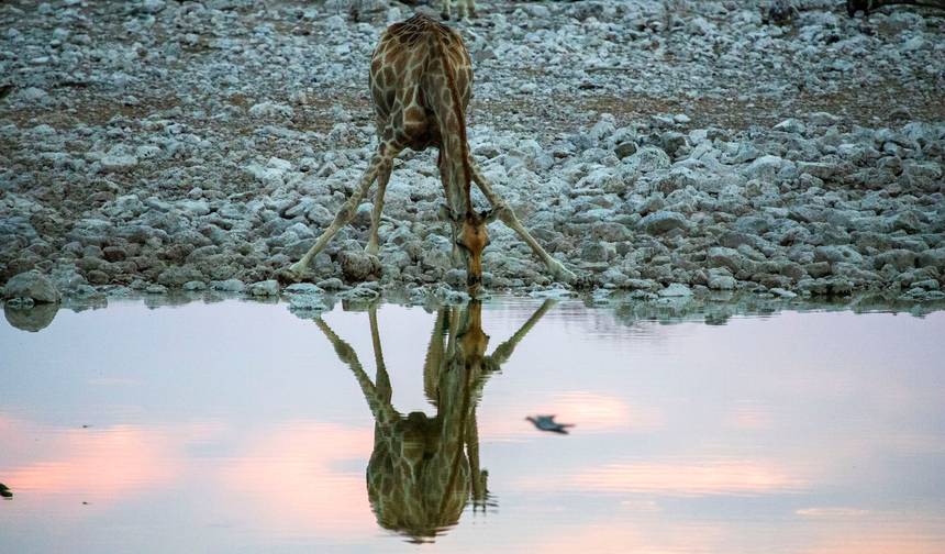 Destaques do Safári na Tanzânia 6 Dias/5 Noites (Tarangire, Serengeti e Ngorongoro) — 1
