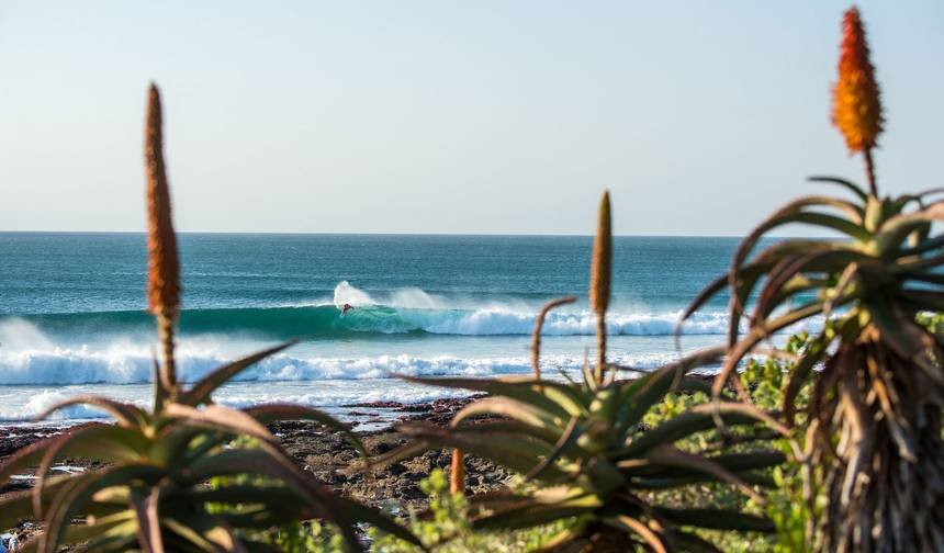 Pacote de 7 dias: Rota Jardim, Cape Point e Região Vinícola do Cabo — 1