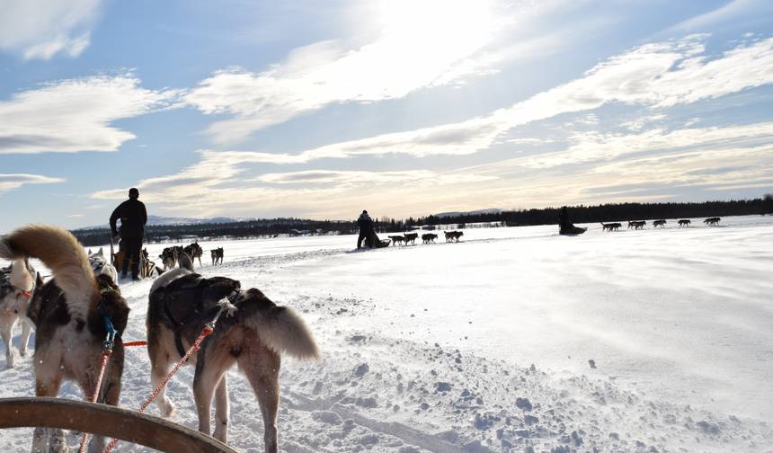 Levi Lapland Explorer - 6 Dni — 1