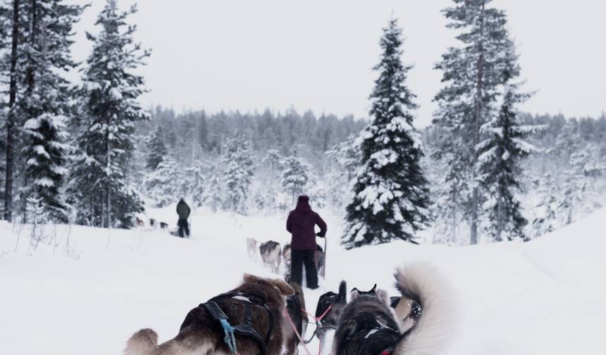 Lapônia e o Círculo Polar Ártico - 5 Dias — 1