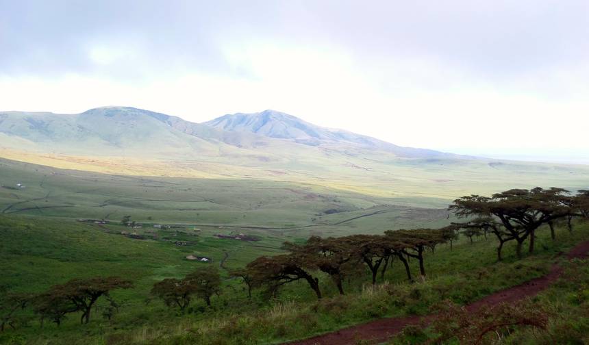 Cume do Kilimanjaro Marangu e Safári de Acampamento — 1