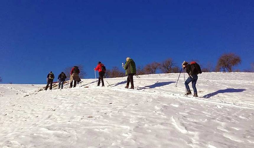 Caminhada de Inverno e Raquetes de Neve na Transilvânia — 1