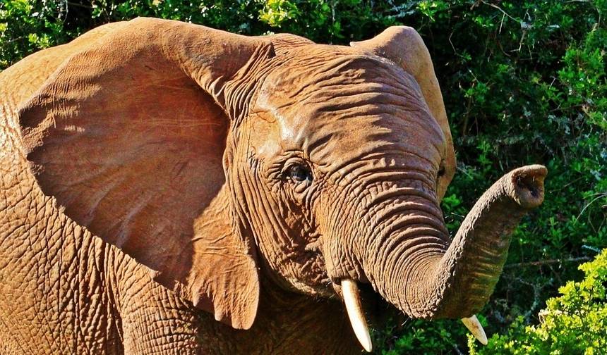 Podróże: Odkryj Namibię i Wodospady Wiktorii National Geographic — 1