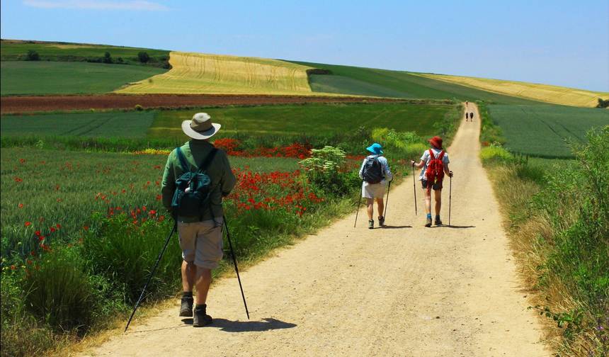 Camino de Santiago — 1