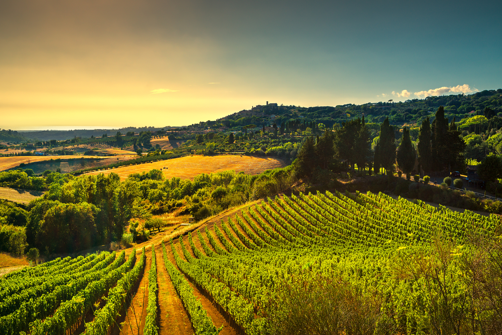 private wine tours in tuscany