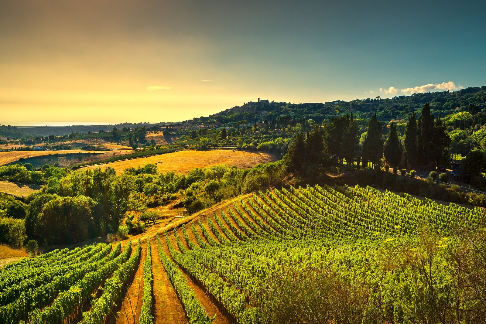 private-gourmet-wine-tour-in-tuscany-italy-by-soleto-travel-code