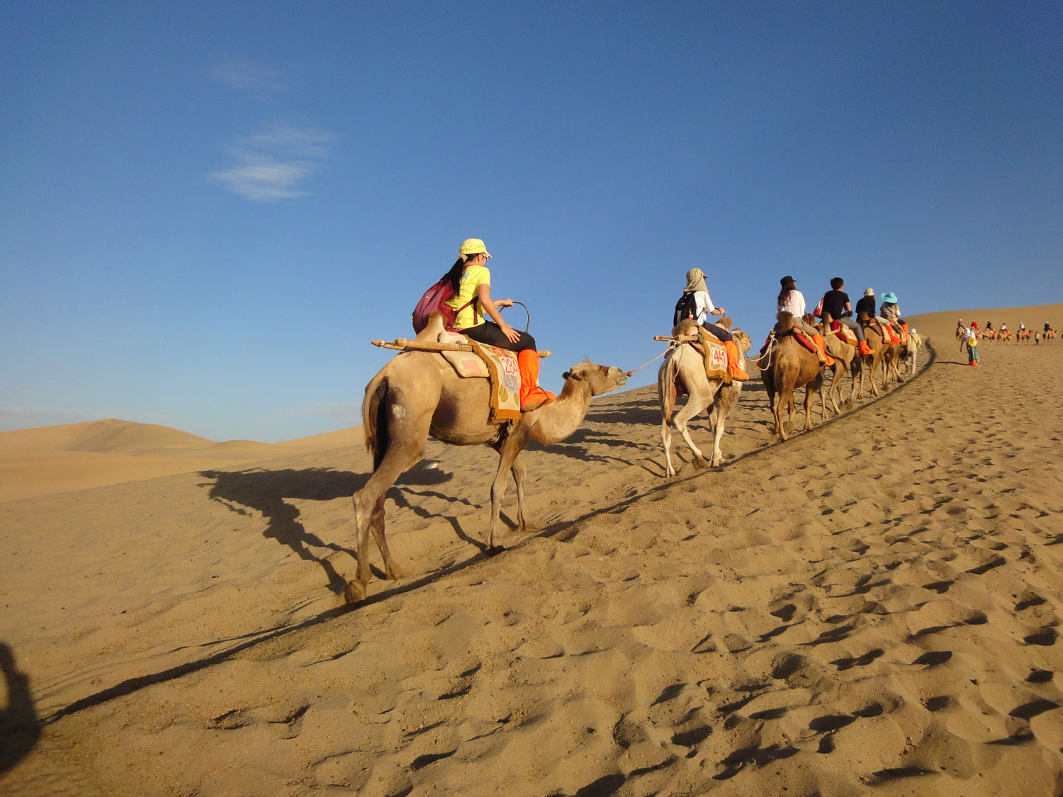 silk road guided tours