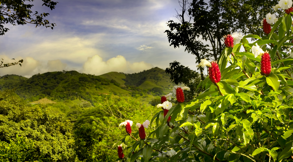 Mountain View, Costa Rica бесплатно