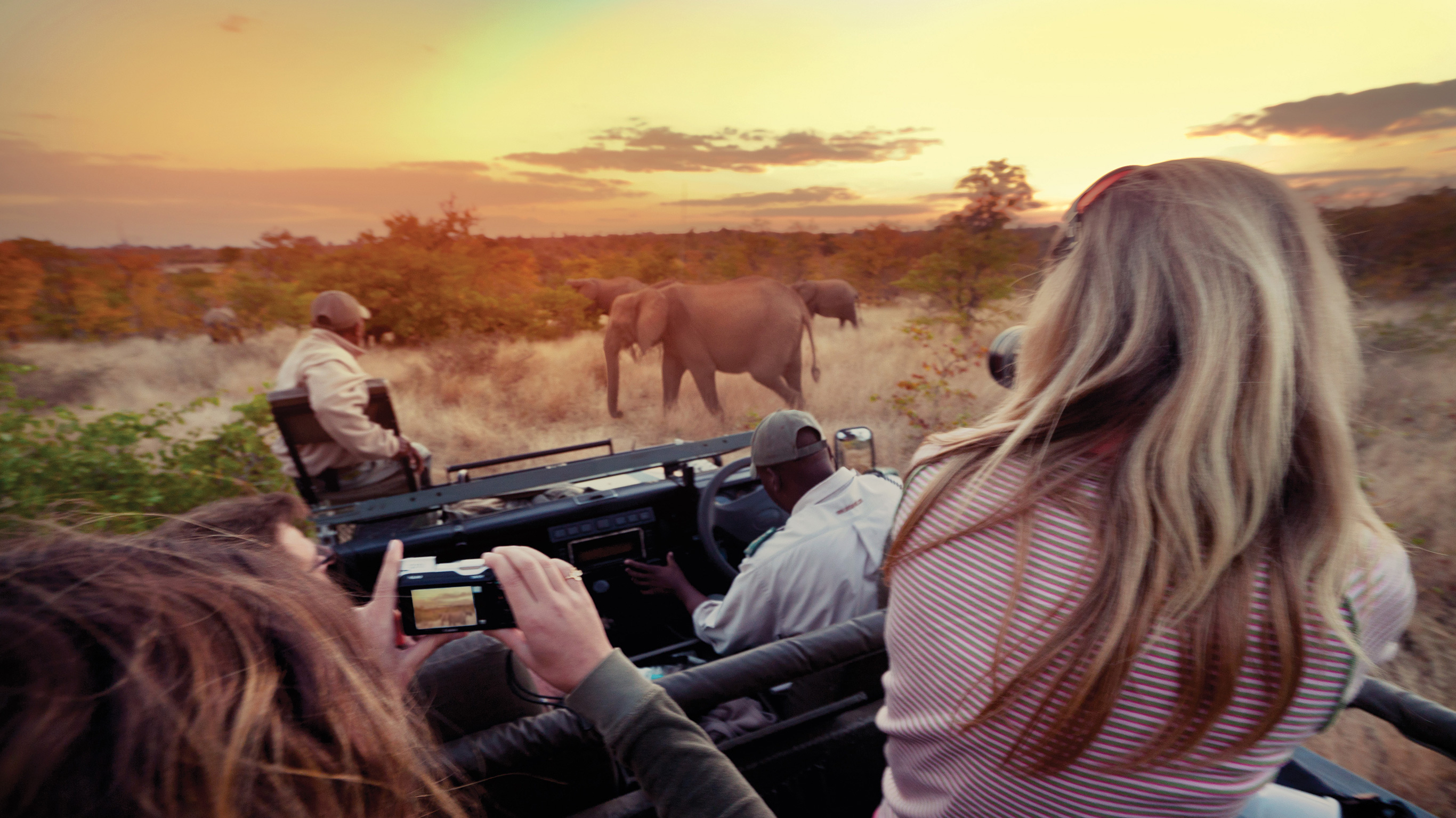 Explore Kruger National Park National Geographic Journeys By National Geographic Journeys With G