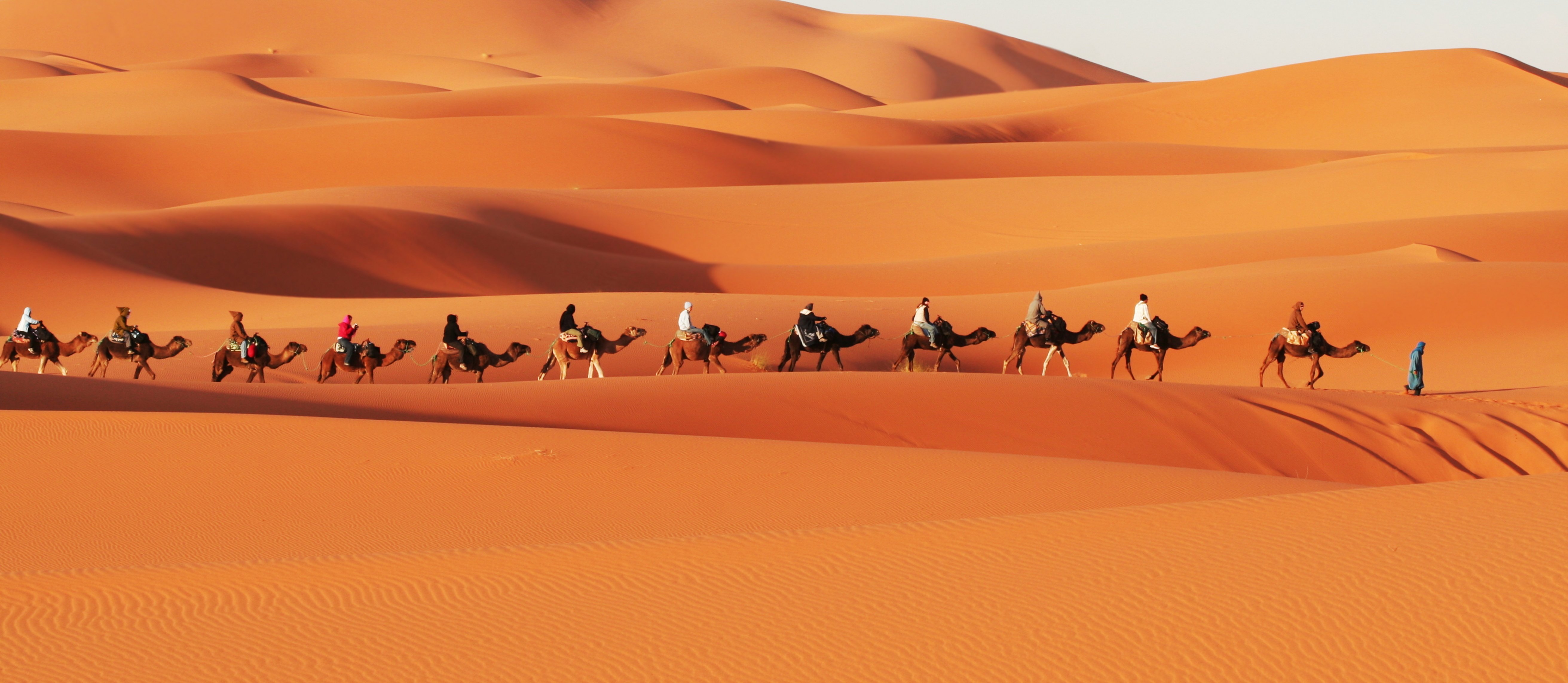 Пустыня дюны барханы караван верблюды без смс