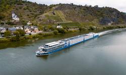 MS CruceNova