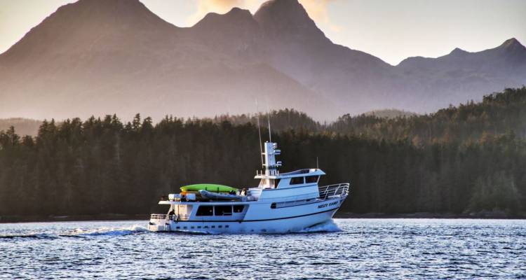 MV Misty Fjord from Alaskan Dream Cruises - TourRadar