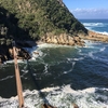 Hailey Portogal
