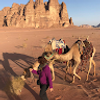 Granada: Crossroads of Arab and Christian cultures reviewer 1