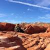 Dean