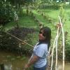 Linh