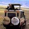 Serengeti kopjes tours
