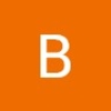 Bridgit
