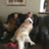Jenny