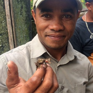 Madagascar Adventure Guide