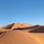 3 Dagen Avontuurlijke trektocht op een kameel in de Sahara-woestijn van Marokko reviewer 5