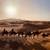 3 Dagen Avontuurlijke trektocht op een kameel in de Sahara-woestijn van Marokko reviewer 4