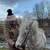 Verbluffende Baltische staten reviewer 10