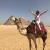 King Tutankhamun with Cruise - 10 days reviewer